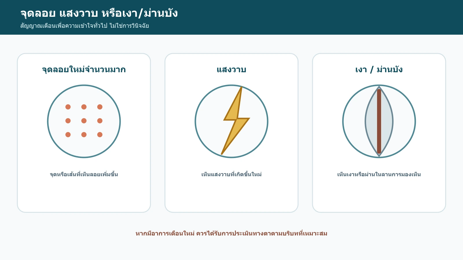 อินโฟกราฟิกสัญญาณเตือนเกี่ยวกับจุดลอยใหม่ แสงวาบ และเงาหรือม่านบังในลานการมองเห็น